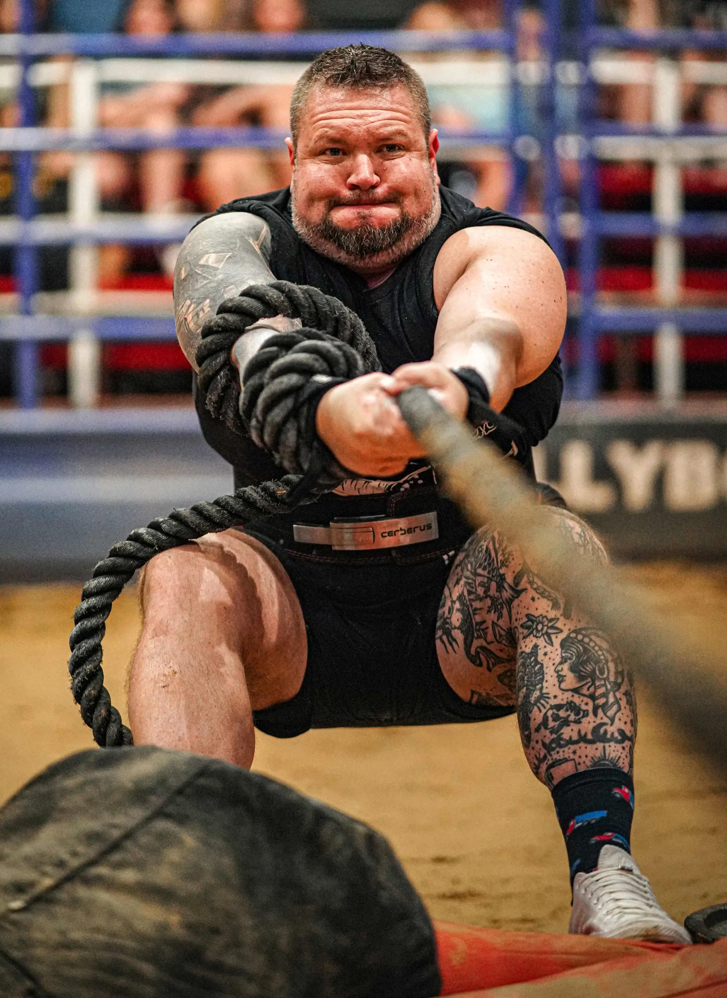 Neill Harmer, Founder and Owner