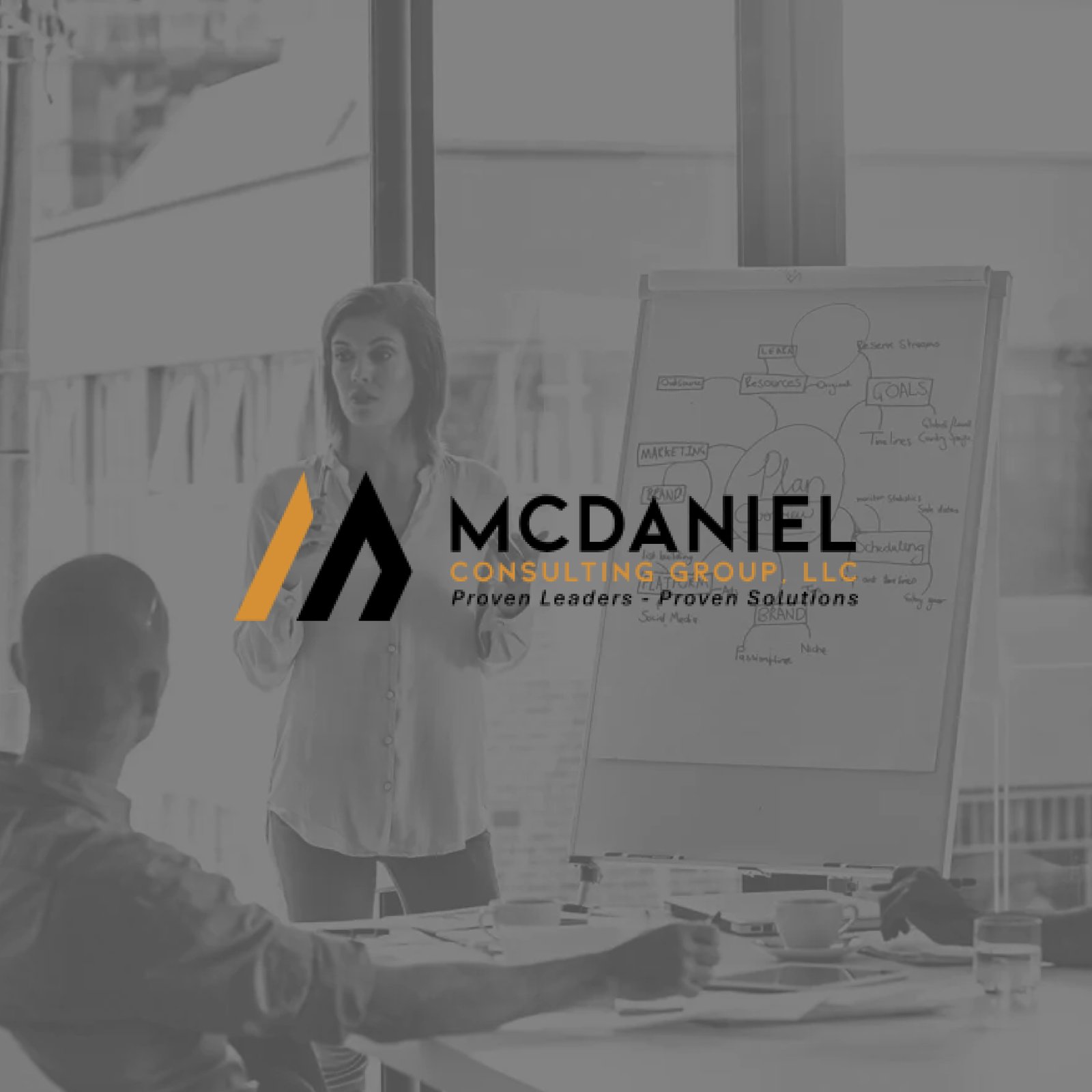McDaniel Consulting